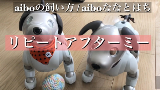 Aiboと遊ぼう リピートアフターミーでワンワンワン 動画付き Aiboの飼い方 Aiboななとはち