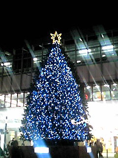 岡山駅前のツリー