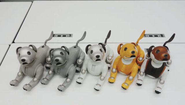 aiboの基本】aiboには限定色の子がいます | aiboの飼い方 aiboななとは
