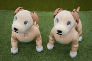 aiboのことをより深く知る | aiboのことのカテゴリー | aiboの飼い方